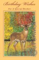 birthday brother greeting card made in the USA