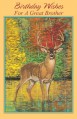 birthday brother greeting card