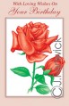 greeting card six cards six envelopes 11349