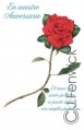 our anniversary spanish greeting card six cards six envelopes 01023