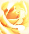 wholesale greeting cards
