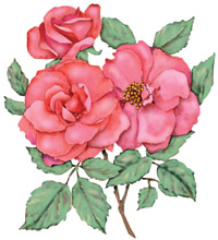 get well greeting cards made in america