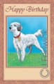 birthday greeting card six cards six envelopes 70086